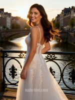 APJbridal Romantic Spaghetti Strap Deep V-Neck Lace A-Line Wedding Dress with Tulle Skirt